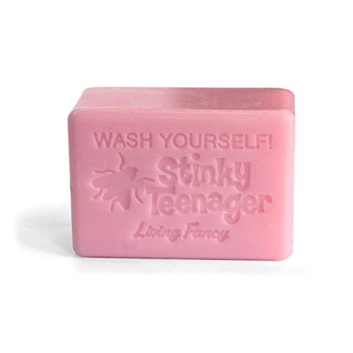 Stinky Teenager Bar Soap